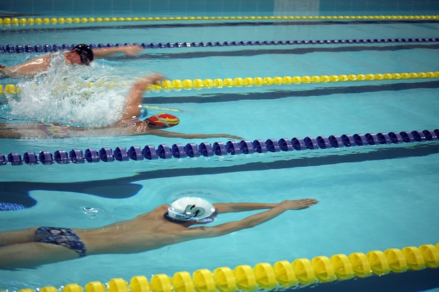 可能的道路 可能的道路