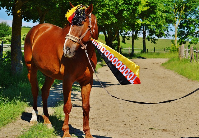 后赛中占据 后赛中占据