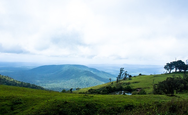 有的高度 有的高度