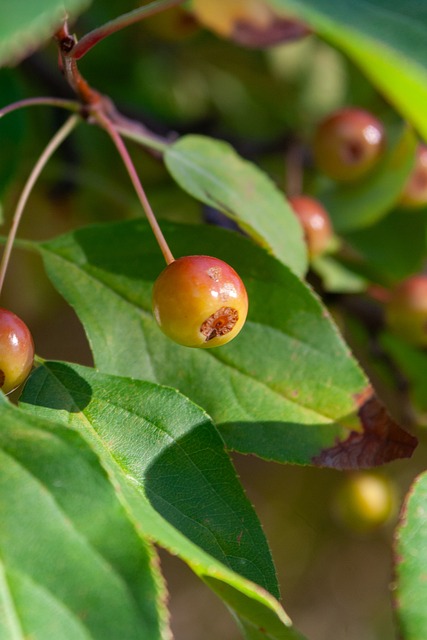 赛甚至更早 赛甚至更早