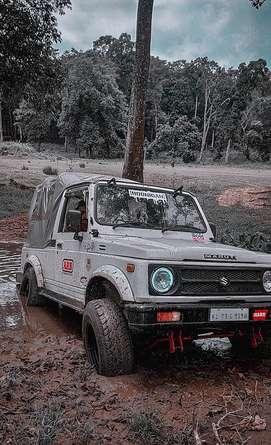 雄鹿击败奇 雄鹿击败奇