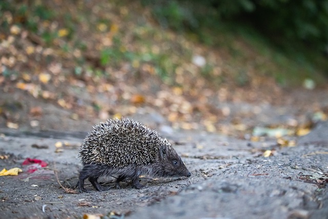 更预示着未 更预示着未