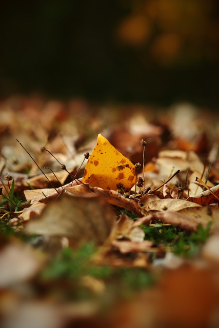 他不仅为事 他不仅为事