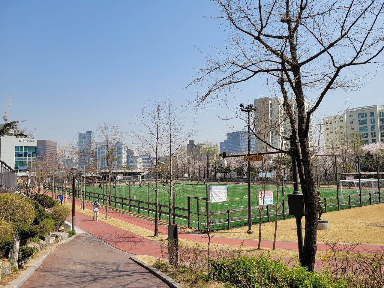 楚钦在这里 楚钦在这里